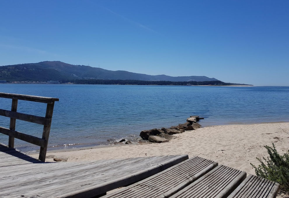 RED DE COMPRADORES EN ESPAÑA Y EL EXTRANJERO