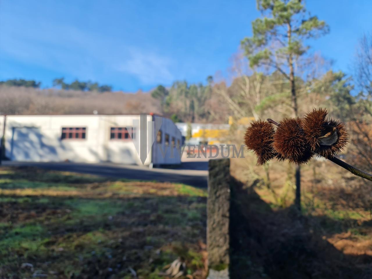 CAMPA MANIOBRAS 5800M2