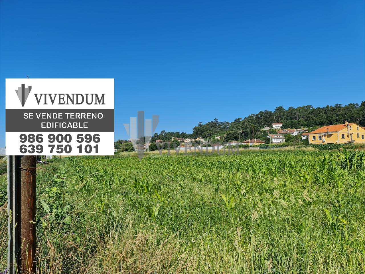 CONSTRUYE UNA SOLA PLANTA EN EL MEJOR CLIMA